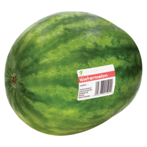 Medium Watermelon Single