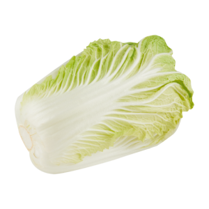 Chinese Cabbage Single