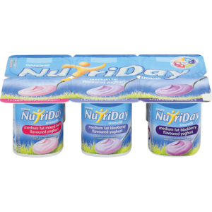 Nutriday Smooth Berry Medley Multipack Yoghurt 6 x 100g