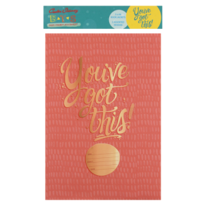 Creative Stationery BTS You've Got This Book Jackets A4 Assorted 5 Pack