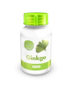 Holistix Ginkgo Biloba 350mg Cap