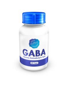 Holistix Gaba Gamma Aminobutyric Acid 60 Caps