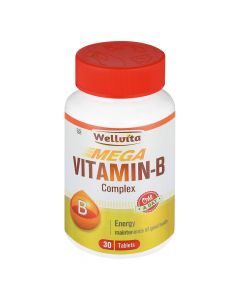 Wellvita Vitamin B Complex 30 Tabs